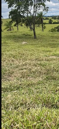 Fazenda próximo a pato de minas