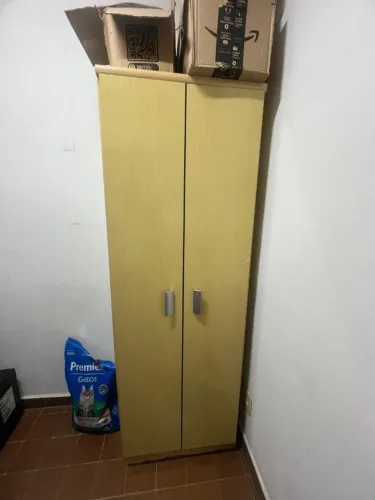 Armário (L 61 cm X C 37,5 X A 179,5)