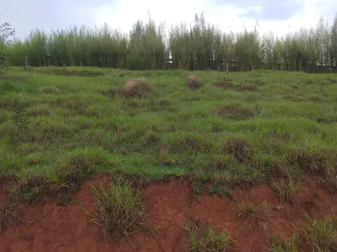 Vendo excelente terreno em Cunha sp