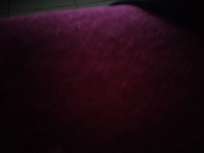 Particula