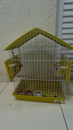 Gaiola pássaro calopsita casa pássaro passarinho 