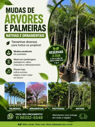 Árvores nativas e frutíferas plantios pomares e reflorestamento