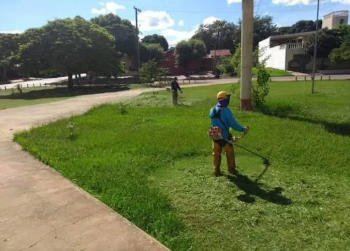 Corte de grama