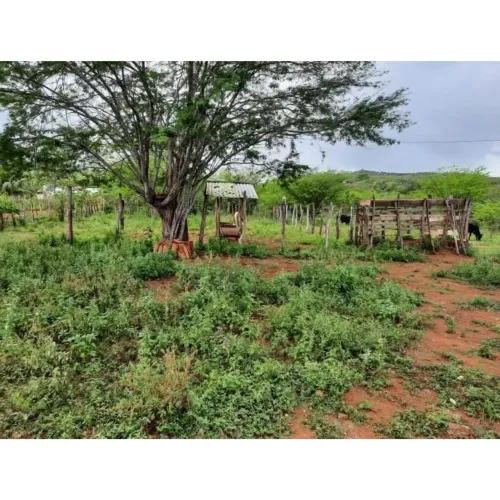 Terreno NO SÍTIO RELVA PARAÍBA 