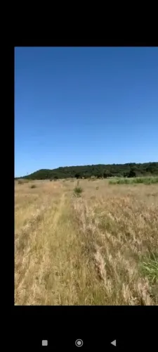 Fazenda arrendamento 300 hec em Nova Canaã MT. 