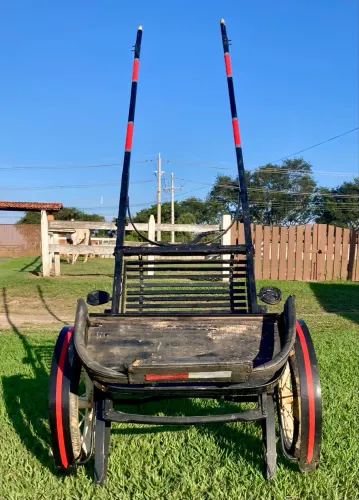 Charrete Para Pônei 