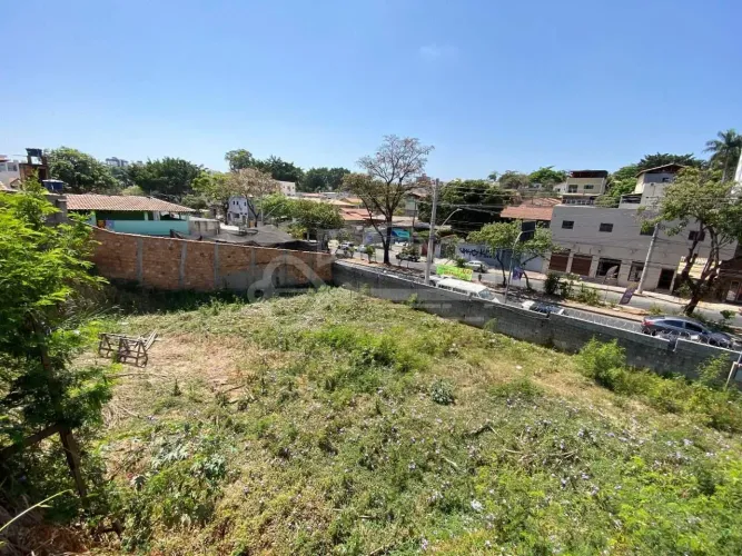 Lote à venda, Santa Amélia - Belo Horizonte/MG