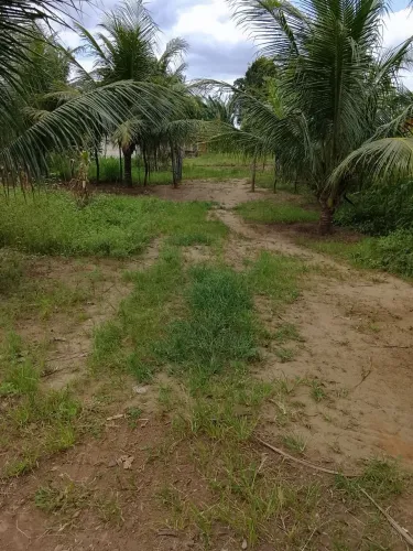 Sitio com com duas casa pra venda ou trocar em algo do meu interesse fica no município de