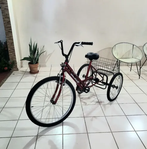 Bicicleta Triciclo Adulto Aro 26