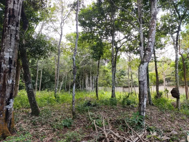 Terreno à venda no bairro Trac-Trac em Arraial dAjuda