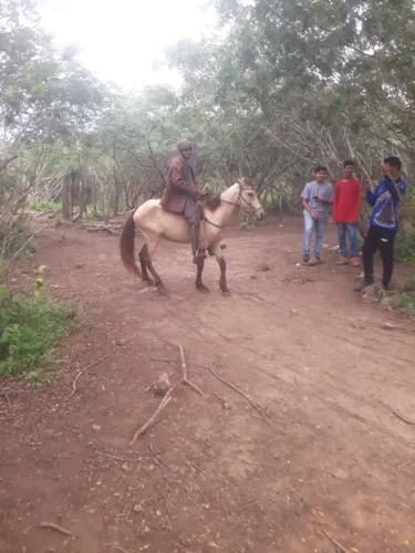 vem pra loja