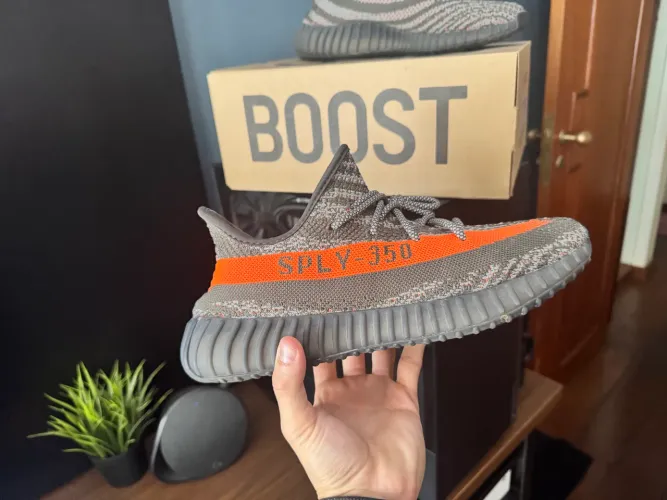 Yeezy Boost 350 carbon beluga 41BR