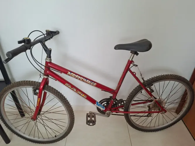 Bicicleta 