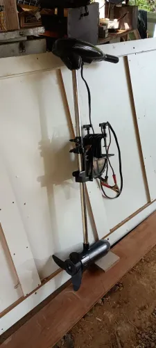 Motor de polpa elétrico 44lb