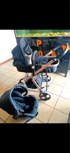 Carrinho de bebê 1st safety moby rosé gold
