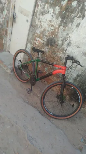 Baike aro 29