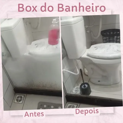 Faxina/Faxineira/Diarista