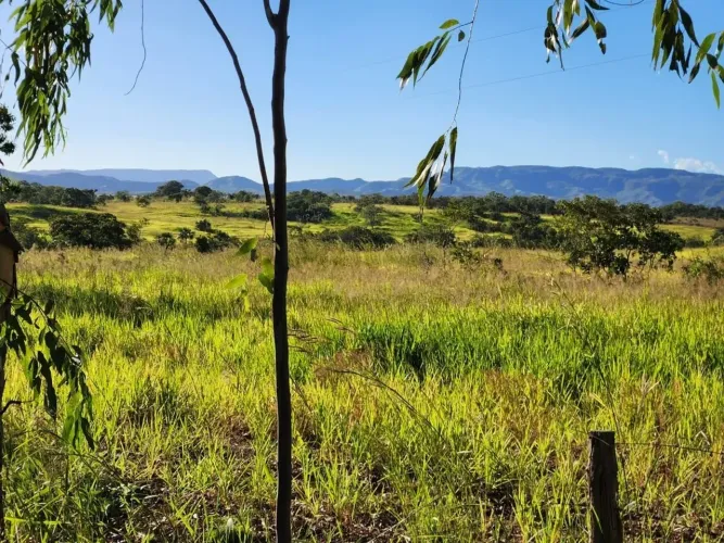 Imóvel rural, 300 m² no Zona Rural em Niquelândia