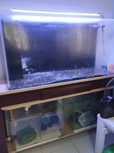 Aquário em Acrílico 300 litros!