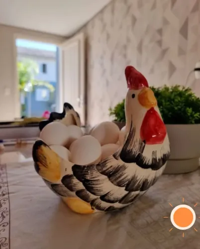 Galinha Porta Ovos
