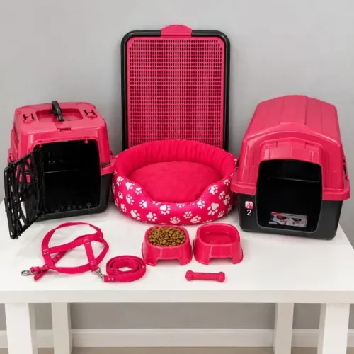 Kit Para Cachorro