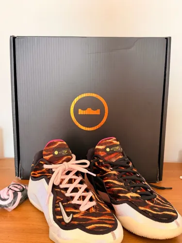 TENIS LEBRON XXIII