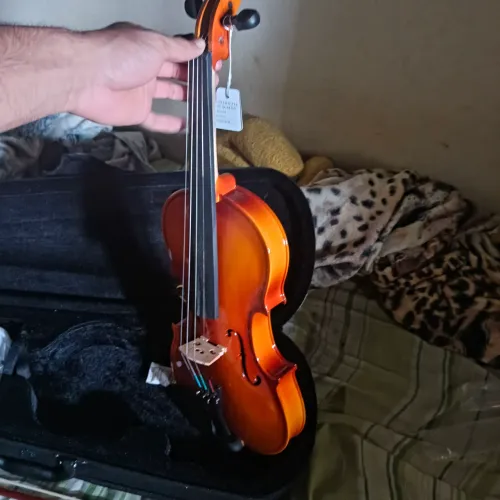 Violino novo