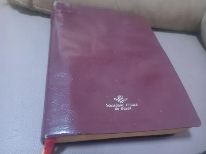 Biblia Sagrada de estudos nova tradução