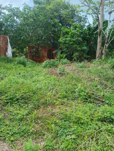 Lote no Iranduba