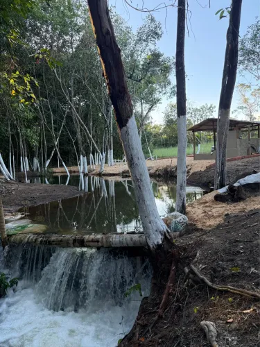 Chácara Município Taquaruçu 40km Taquaralto