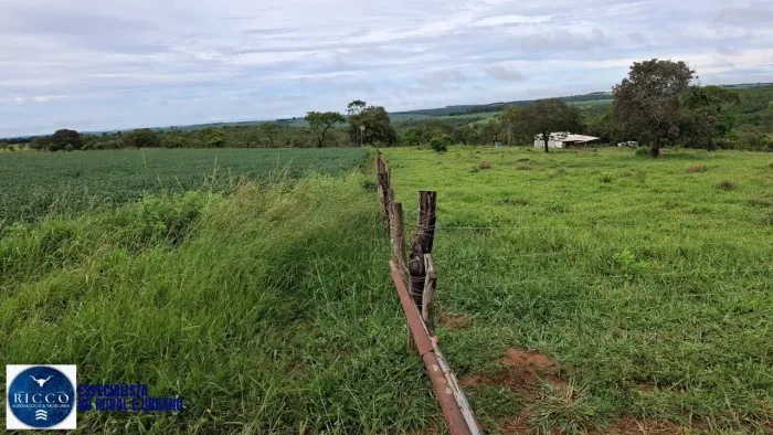 Fazenda à Venda em Piracanjuba - GO | 38 Alqueires | Estrutura Completa