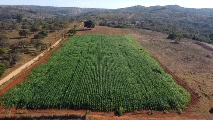 Fazenda para 100 cabeças de gado