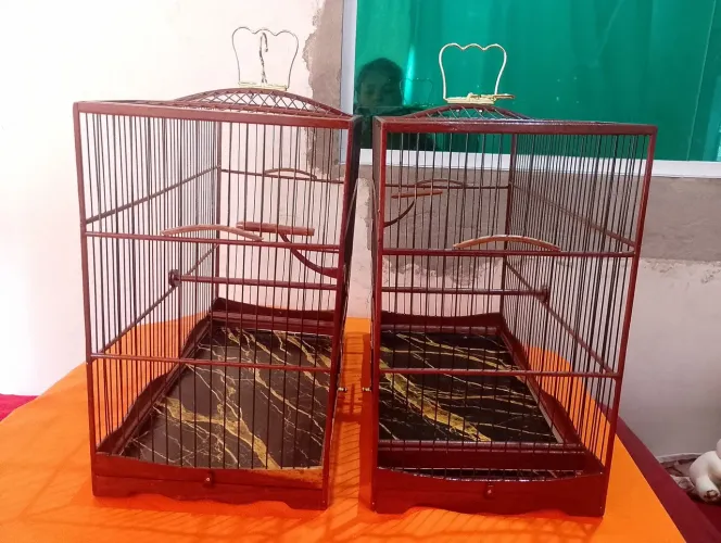  2 Gaiolas preseiras