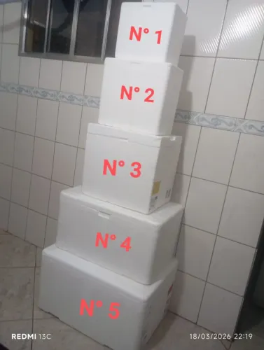 Lote de caixas de isopor ou venda por unidades