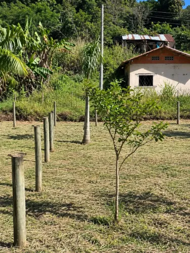 TERRENO 476m2
