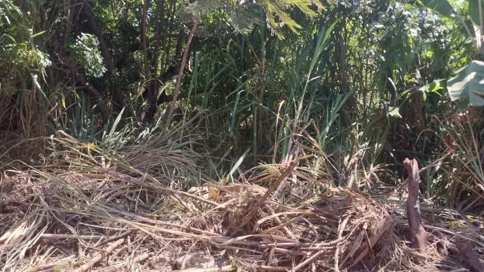 Terreno em Pedra de Guaratiba 1800 metros