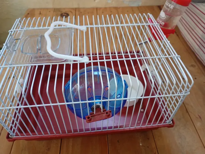 Gaiola para hamster