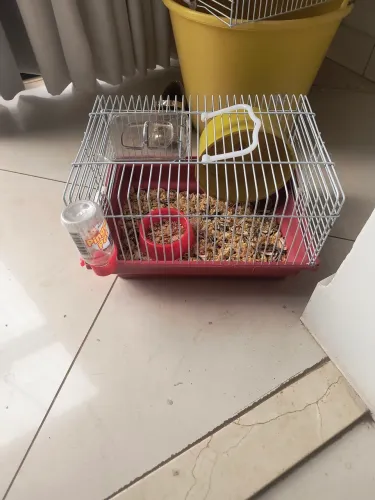 Terrário, Gaiolas, Hamster
