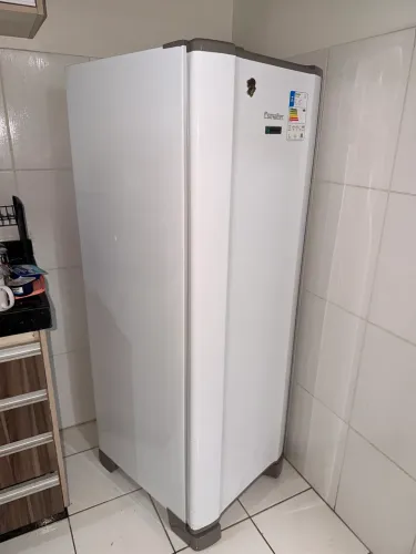 Geladeira Esmaltec 259L Roc35 Pro