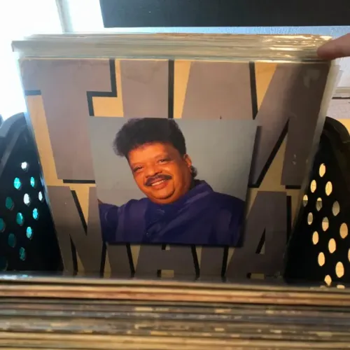 Tim Maia - Romântico - LP - Disco de Vinil