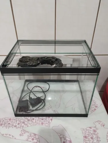 Aquaterrario