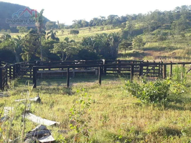 Fazenda com 2 dormitórios à venda, 1210000 m² por R$ 8.000.000,00 - Rural - Palmas/TO
