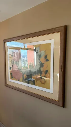 Quadro Decorativo (Caruncho na moldura)