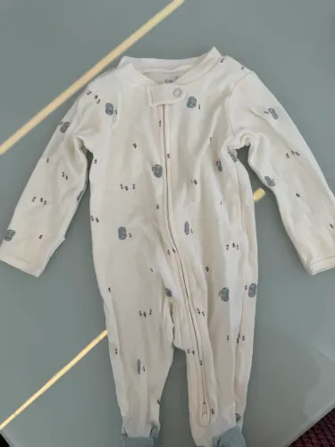 Carters