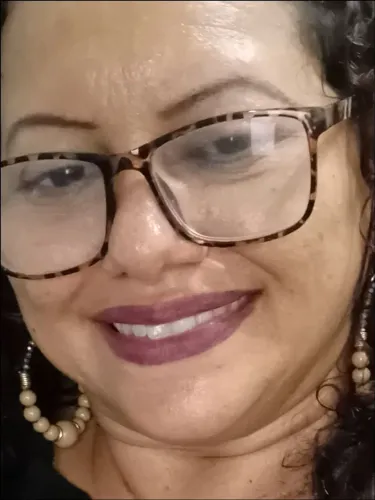 Sou Diarista 