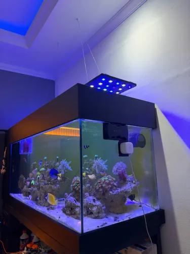 Luminária para aquário marinho