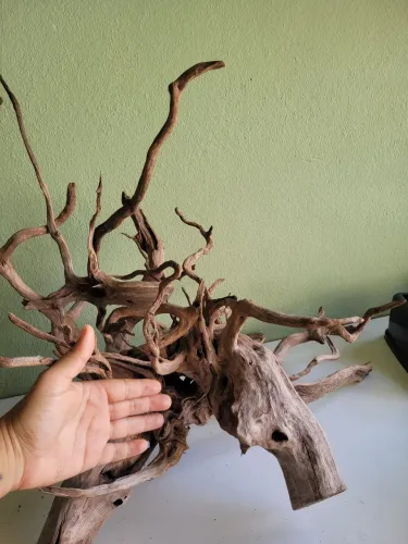 Tronco Raiz para Aquário