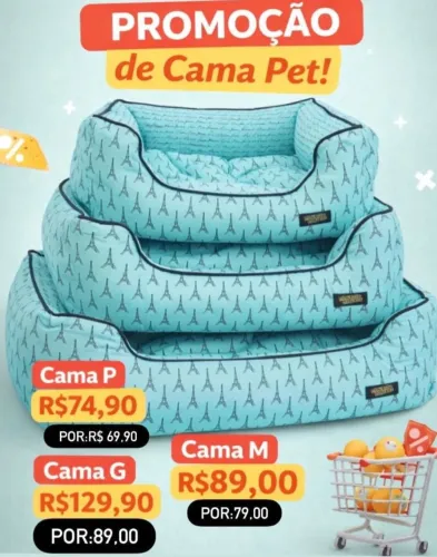 Cama
