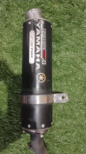 Coyote boca 0