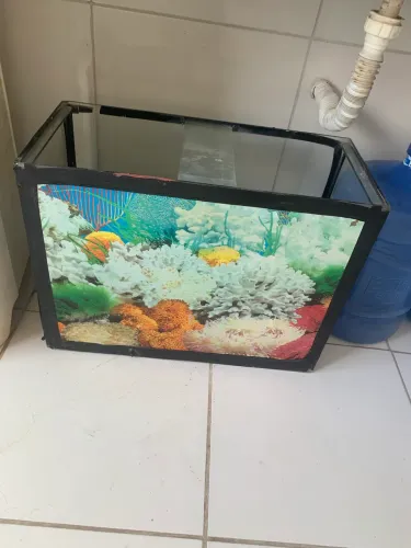 Aquário